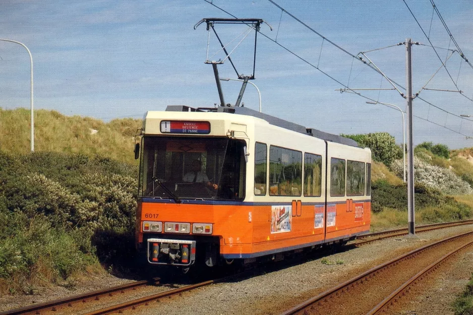 Postkarte: Brüssel De Kusttram mit Gelenkwagen 6017nah De Haan (1983)