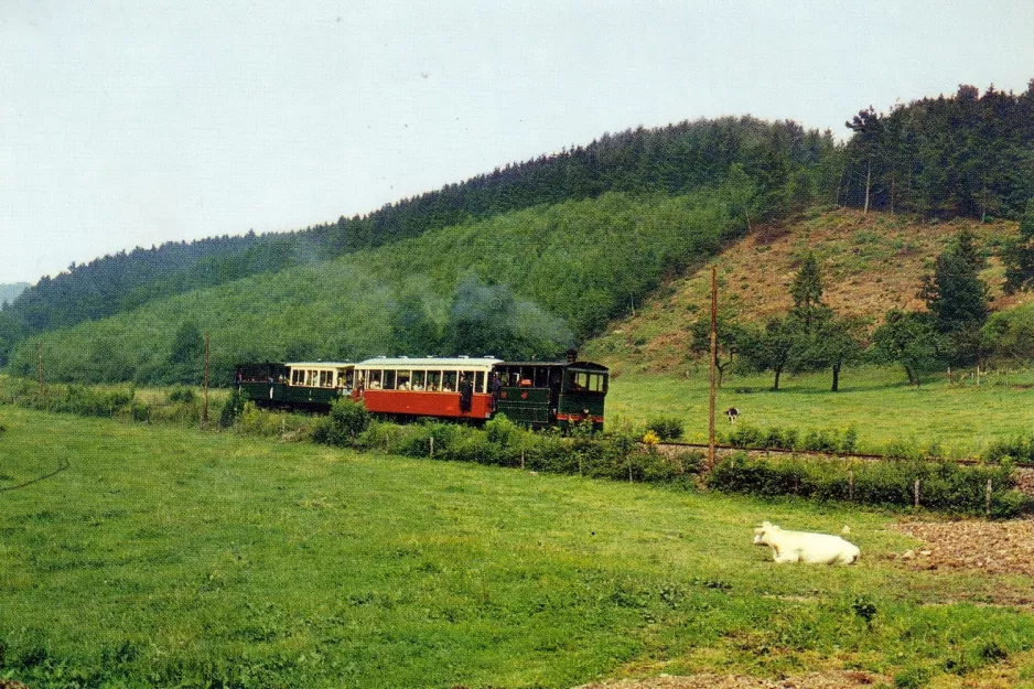 Postkarte: Erezée mit Dampftriebwagen 1076nah Rue de Dochamps (1970)