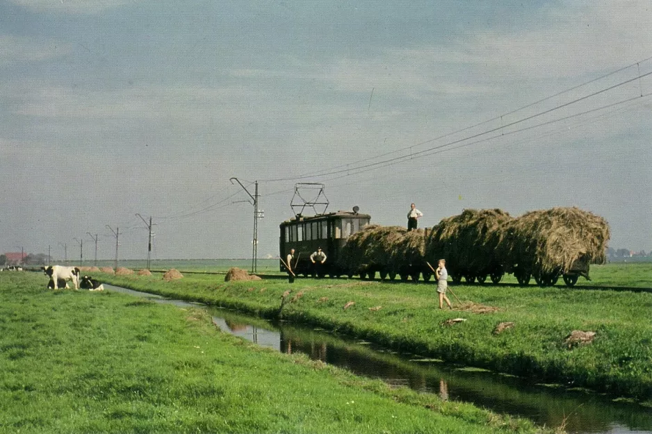 Postkarte: Haarlem Güterwagen HY 112nah Zunderdorp (1956)