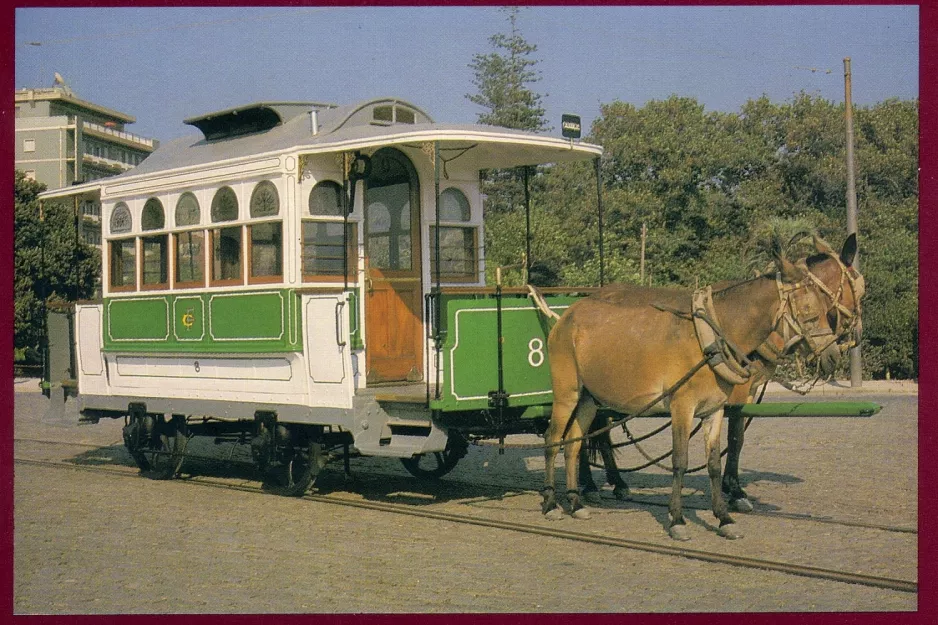 Postkarte: Porto Pferdestraßenbahnwagen 8 auf Alameda Basílio Teles (2008)