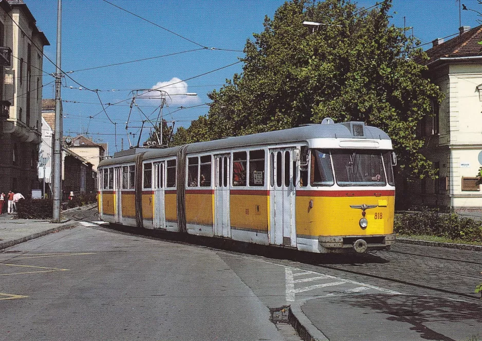 Postkarte: Szeged Straßenbahnlinie 4 mit Gelenkwagen 818 auf Petőfi Sándor sugárút (1983)