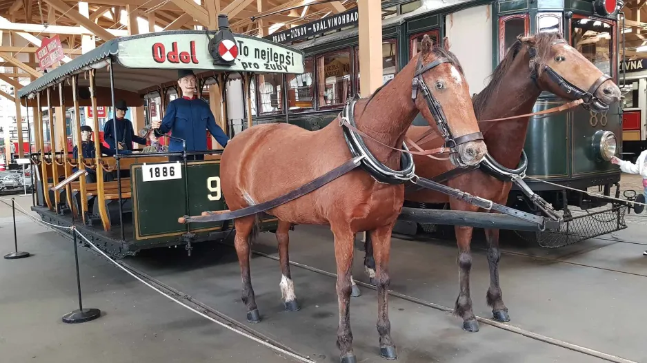 Prag Pferdestraßenbahnwagen 90 im Muzeum Městské Hromadné Dopravy (2024)