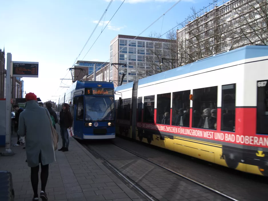 Rostock Straßenbahnlinie 5 mit Niederflurgelenkwagen 677 am Lange Straße (2015)