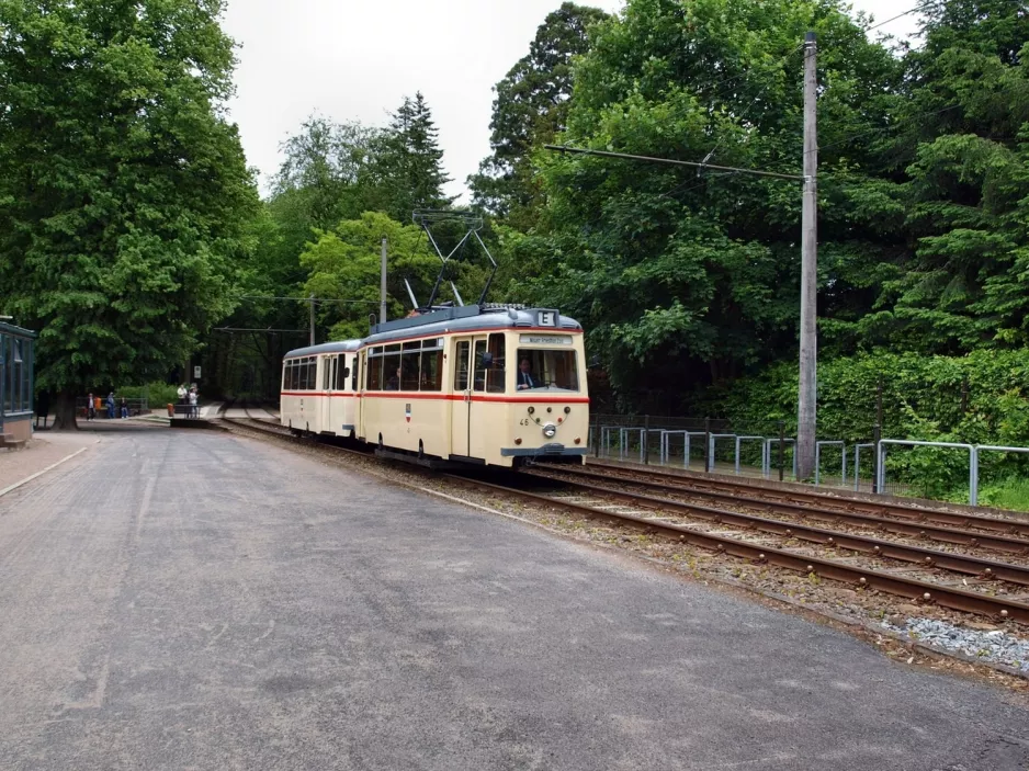 Rostock Triebwagen 46nah Zoo (2010)