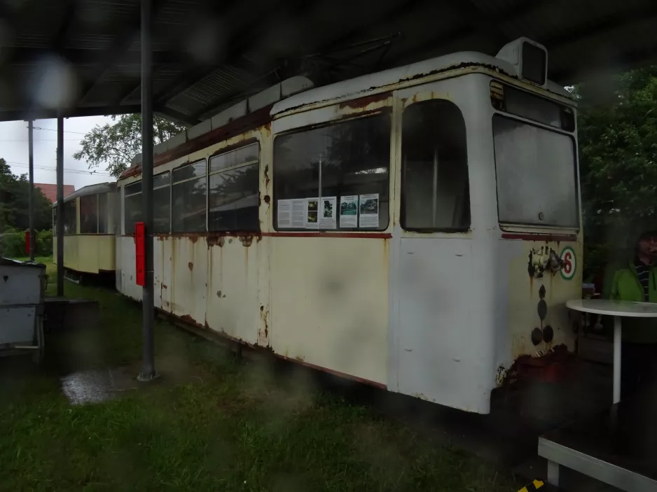 Schönberger Strand Triebwagen 195 innen Tramport (2019)