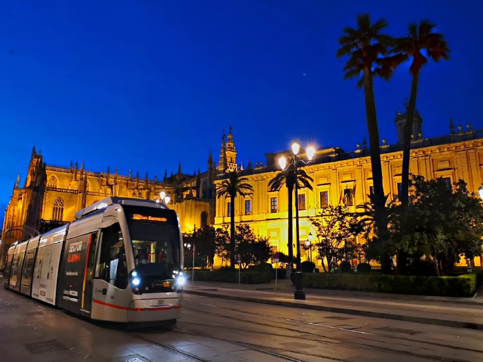 Sevilla Straßenbahnlinie T1 mit Niederflurgelenkwagen 301 auf Calle San Fernando (2023)