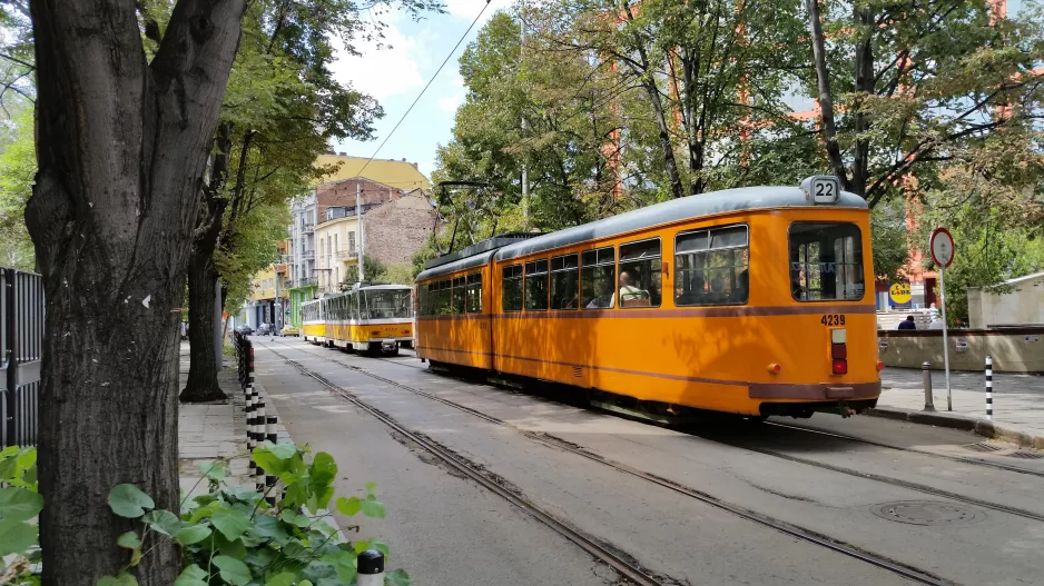 Sofia Straßenbahnlinie 22 mit Gelenkwagen 4239 auf Yanko Sakuzov Boulevard (2014)