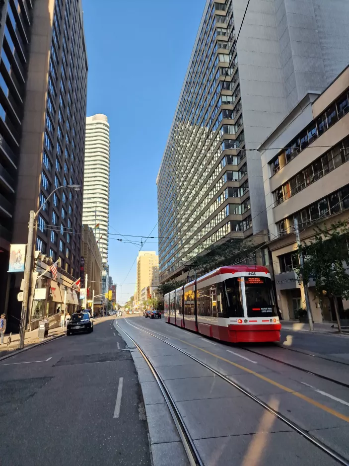 Toronto Straßenbahnlinie 506 Carlton mit Niederflurgelenkwagen 4436 am Carton Street at Church Street (2023)