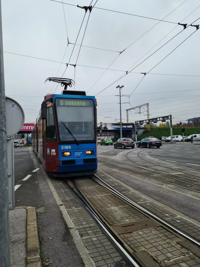 Zagreb Straßenbahnlinie 5 mit Gelenkwagen 2109 in der Kreuzung Ulica kneza Branimira/Avenija Marina Držića (2022)