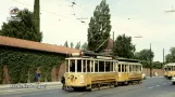 Abschied von den alten Waggons – Auf einer Fahrt mit der Linie 16