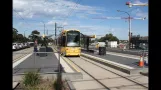 Adelaide Straßenbahnen (2013)