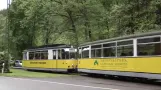 Bad Schandau Straßenbahnen (2010)