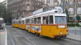 BKV Budapest Straßenbahn/Straßenbahn Typ UV