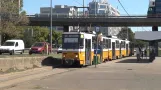 Budapester Straßenbahn – Linie 1