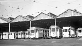 Die Straßenbahnen von Brisbane