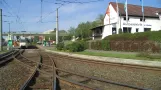 Fahrerkabinenmitfahrt Linie 2 - 2009 - Gera und seine Straßenbahn