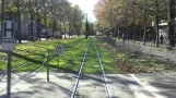 Fahrt mit der Stadtbahnlinie 5 GT8N Freiburger Verkehrs AG Hornusstrasse zum Bertoldsbrunnen