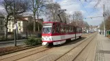 Gotha Straßenbahn Stadtlinie (2018)