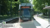 Straßenbahn Brandenburg an der Havel Linie 1 (2019)