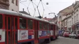 Straßenbahn Olomouc (Mähren in der Tschechischen Republik). Straßenbahn Olomouc