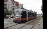 Straßenbahn Oradea im Juni 2012