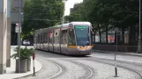 Straßenbahnen der Klasse Citadis 5000 auf der Grünen Linie der Luas (23.08.2014)