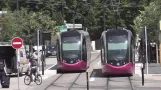 Tramway de Dijon (1)