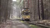 Woltersdorfer Straßenbahn - Eine kurze aber wichtige Strecke