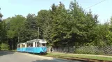 Woltersdorfer Straßenbahn - Kurzimpressionen mit historischen Fahrzeugen (2015)
