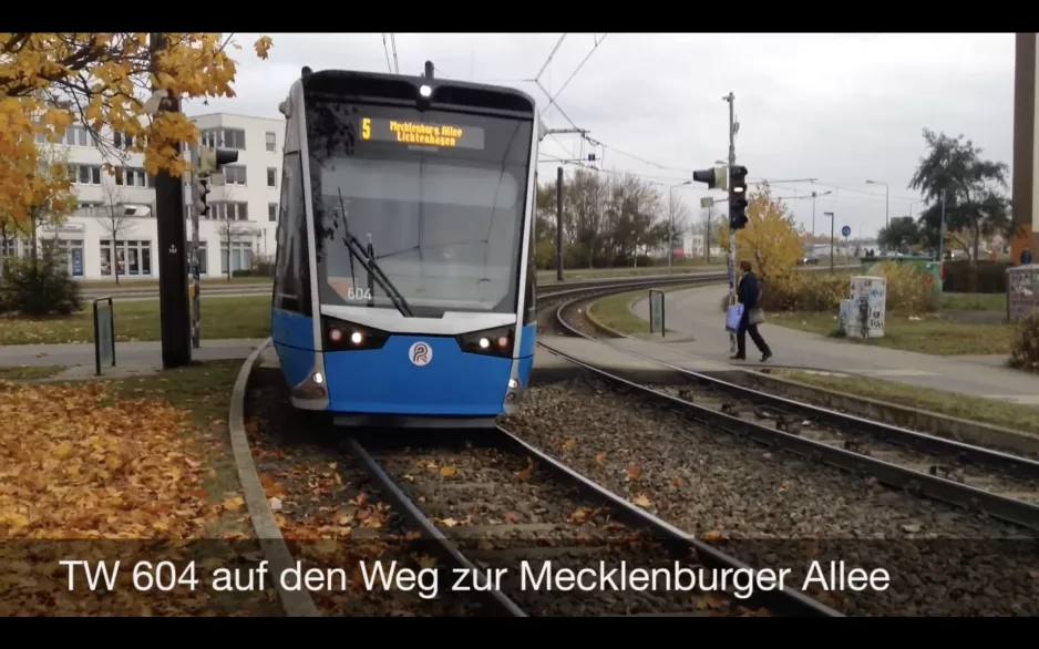 Straßenbahnen im Rostock (2015)