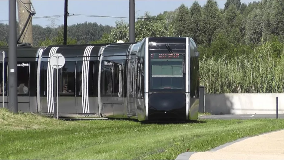 Touren Straßenbahn (2)